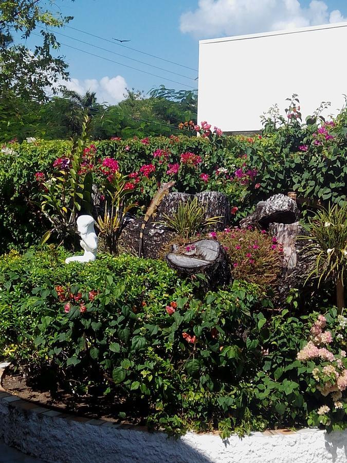 Casa De Los Suenos B&B Coronado Panamaプラヤ・コロナド エクステリア 写真