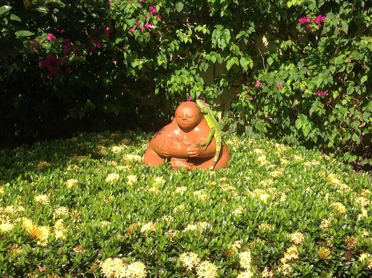 Casa De Los Suenos B&B Coronado Panamaプラヤ・コロナド エクステリア 写真