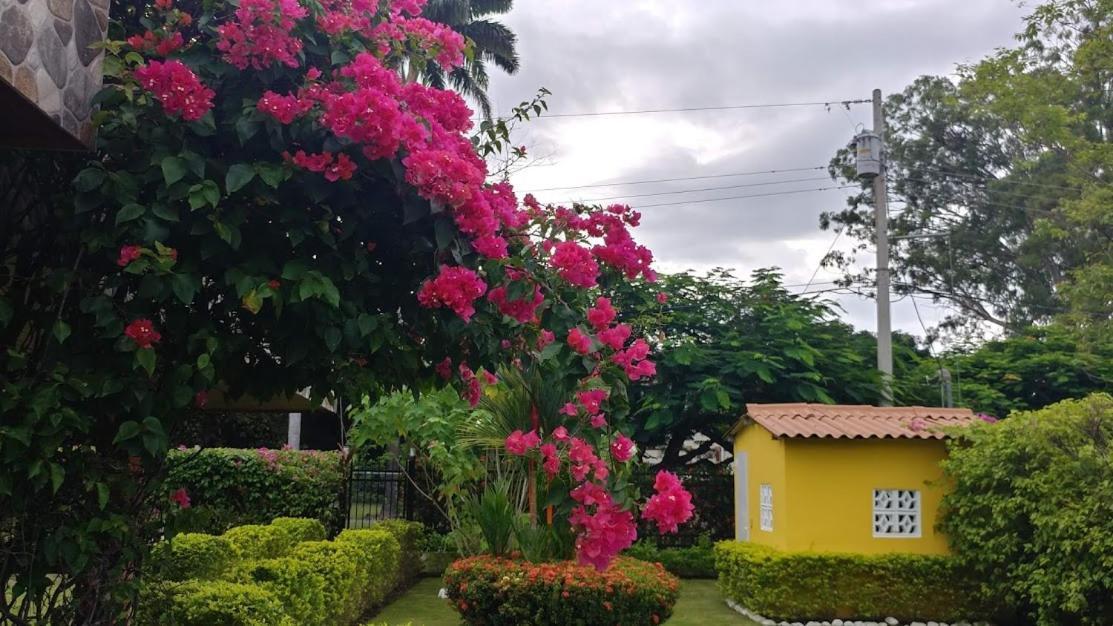 Casa De Los Suenos B&B Coronado Panamaプラヤ・コロナド エクステリア 写真