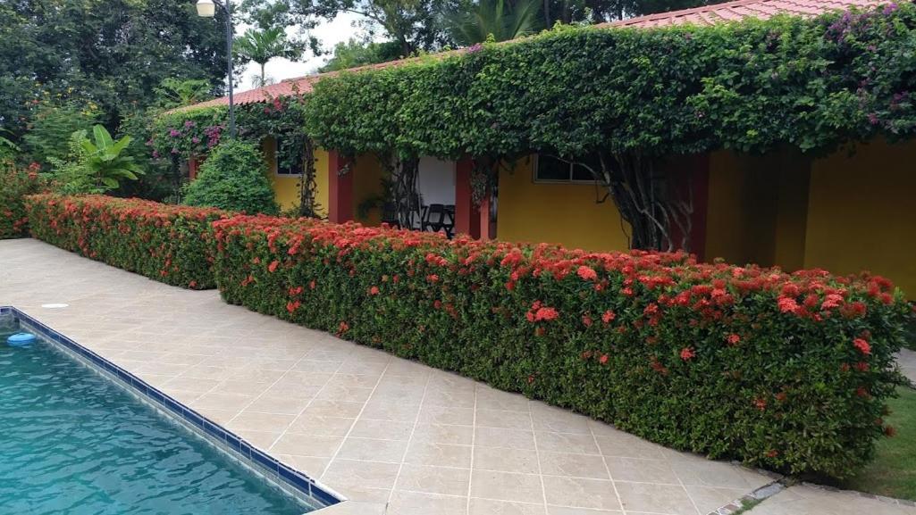 Casa De Los Suenos B&B Coronado Panamaプラヤ・コロナド エクステリア 写真