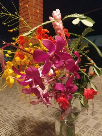 Casa De Los Suenos B&B Coronado Panamaプラヤ・コロナド エクステリア 写真