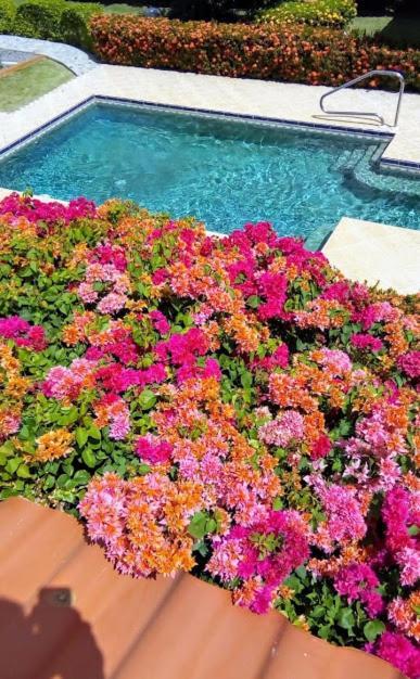 Casa De Los Suenos B&B Coronado Panamaプラヤ・コロナド エクステリア 写真